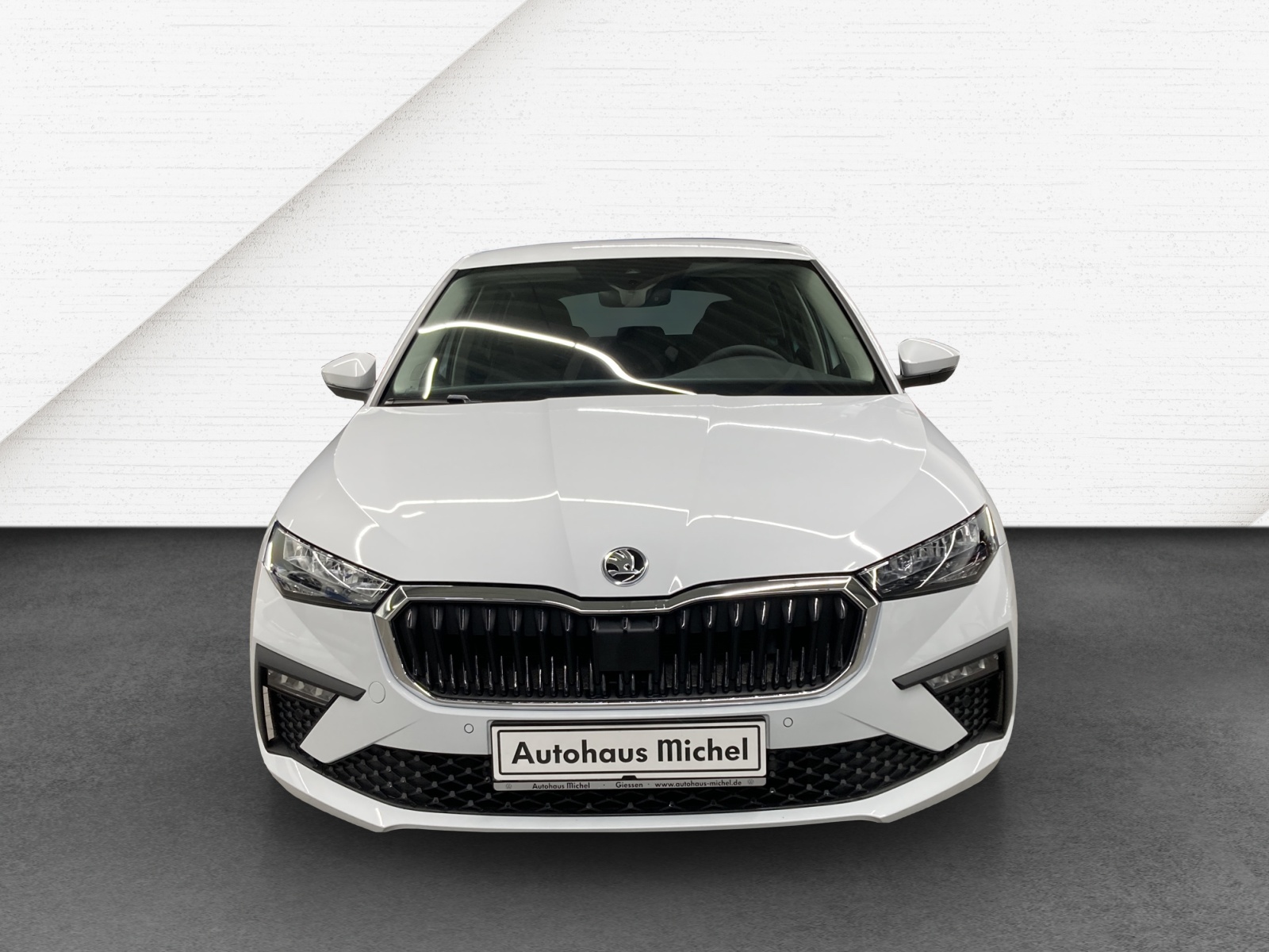 Scala TSI DSG Selection LED Kamera SmartLink