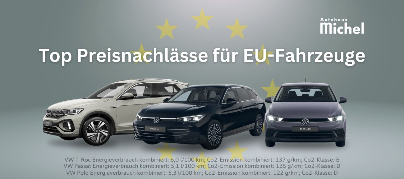 header-eu-fzg-big