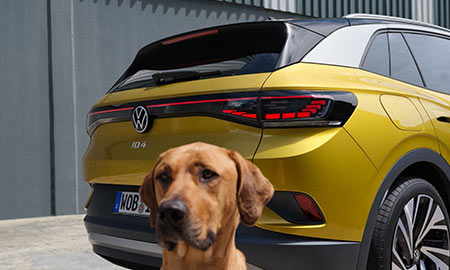 id-hund