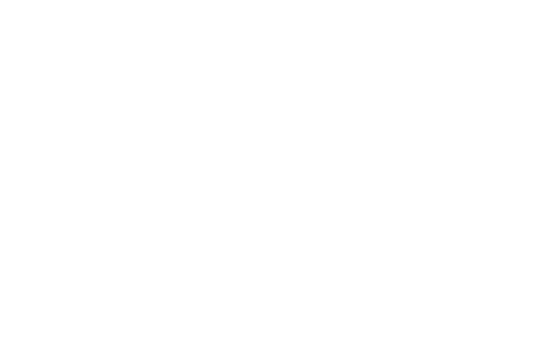 Fzg-Suche-Icon