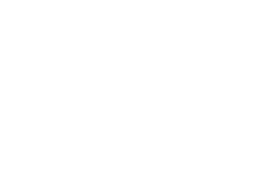 PKW-Icon