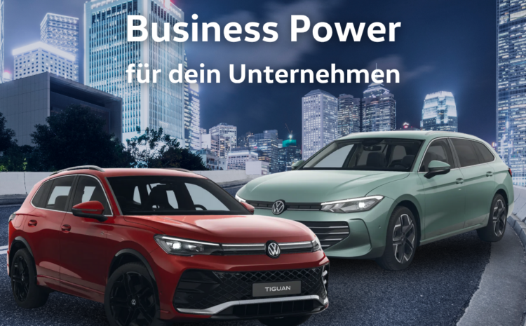  VW Professional Business Power 